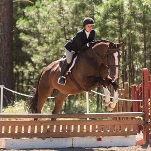 Meet your Posher, Zoe